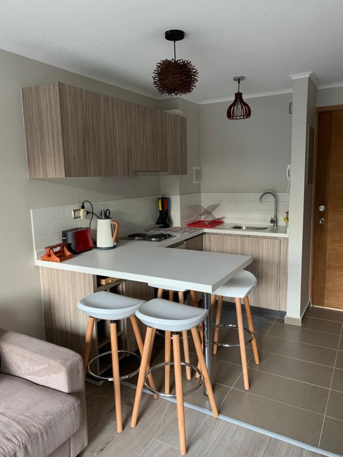 Апартаменты Nuevo Y Muy Bien Equipado Departamento En Пукон Экстерьер фото